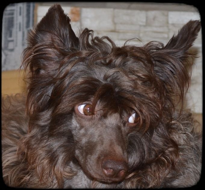 Gollend Kinsey Solnechnij Ujanin