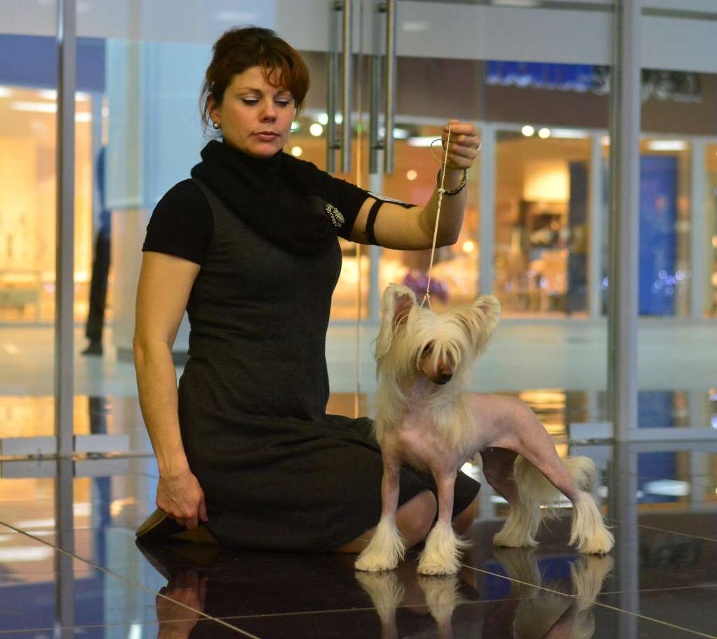 Volshebnaja Loshadka Alita