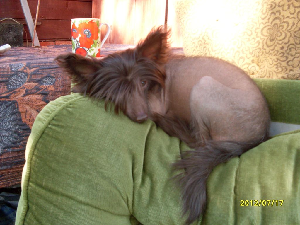 Charuyuschiy Soblazn Efiopiya Mild Kofe