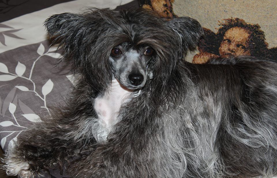 Hungry Eyes of Angel's Legacy