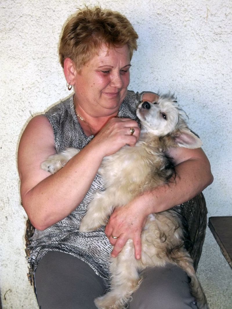 Puha - Luxus Porcelán Gyönyör