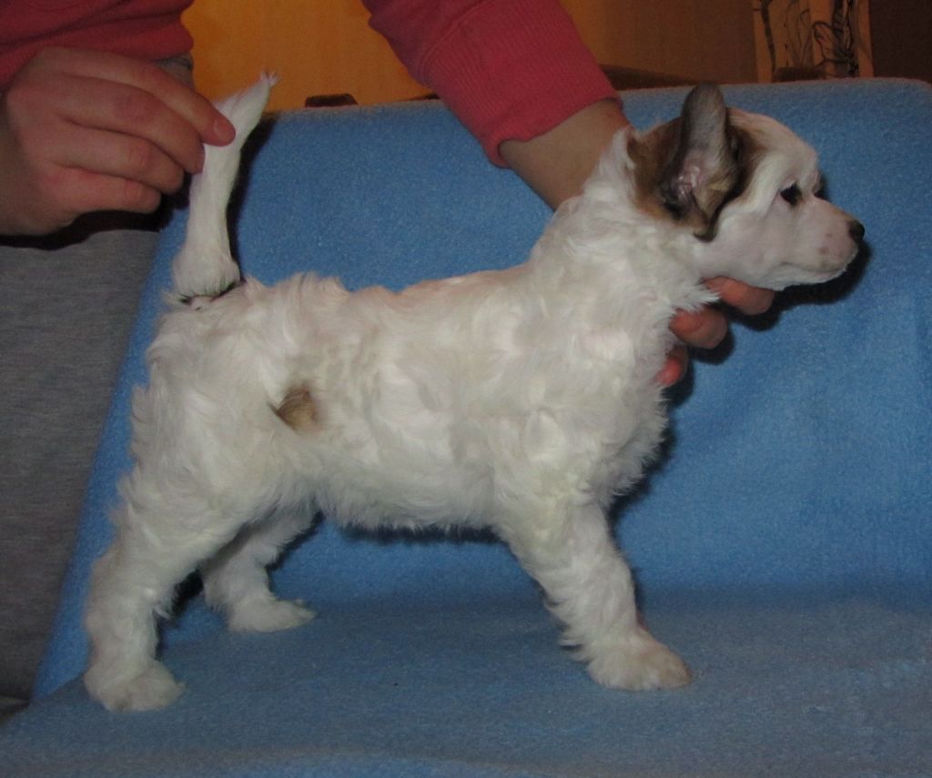 My Spell Brilliant Love