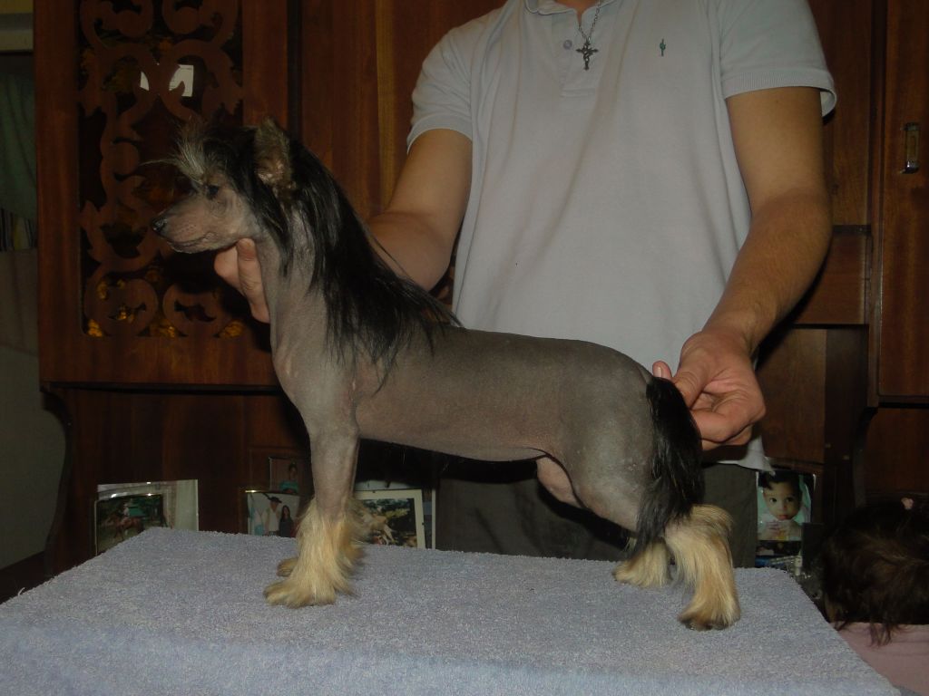 Black Ivory FalaZairroo