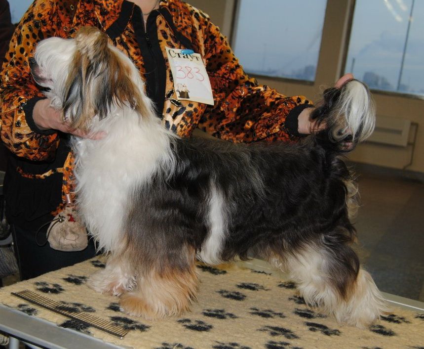 Sapfir iz Tsarskogo Sela Jorj Dyurya