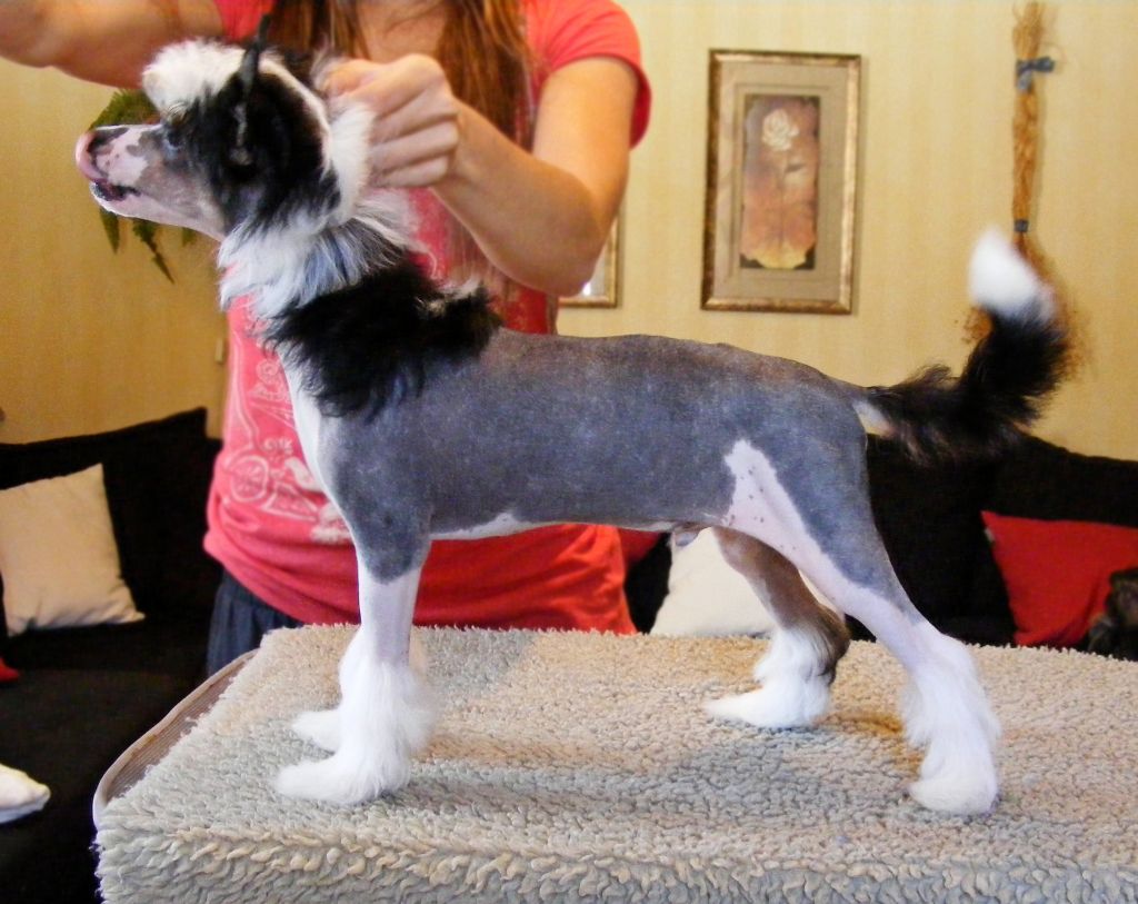 Sirocco From Wrath To Ruin