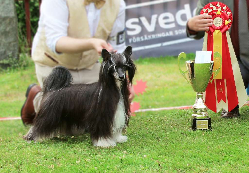 Sirocco Greedy Hands Of Man