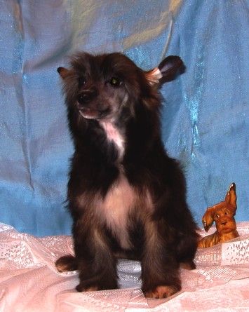 Perl Magic Rock-N-Roll