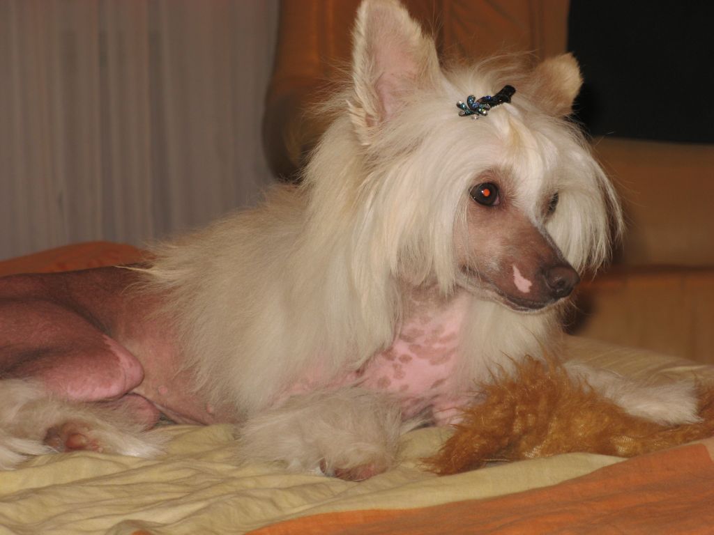 Magnet Success Amanda Doretta