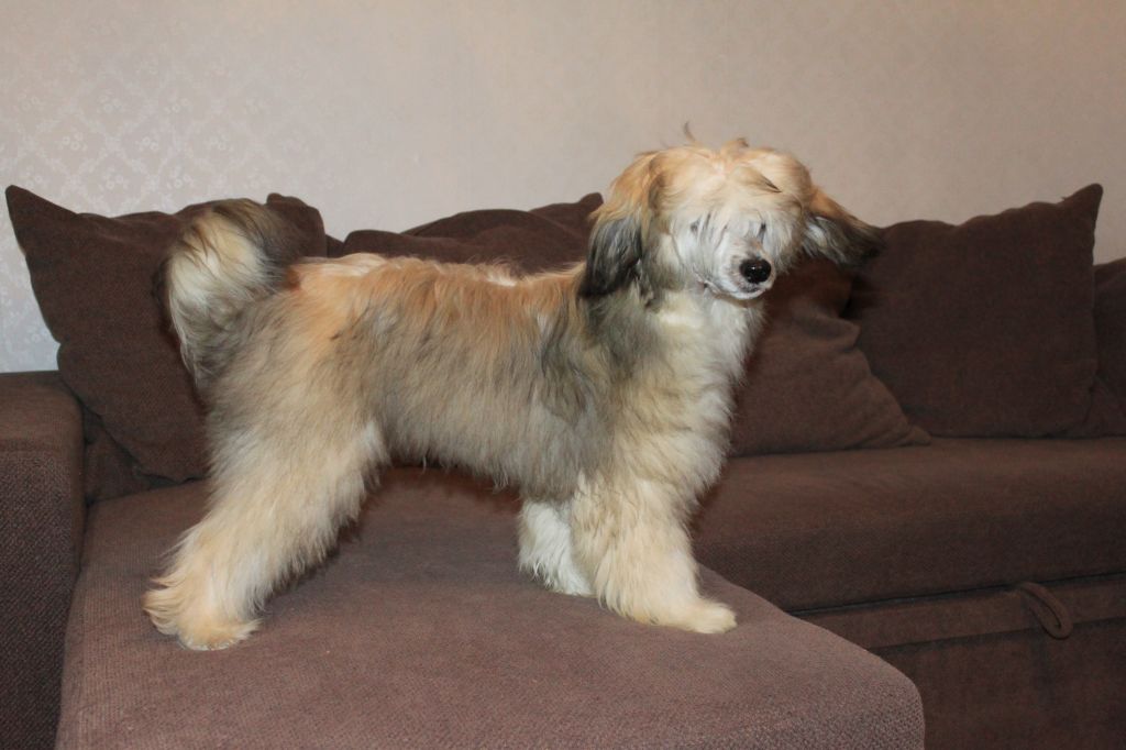 Fiabella's Used To Be The One