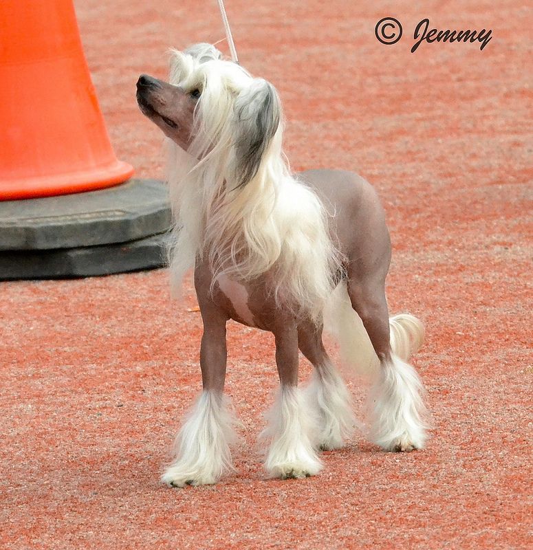 Fiabella's Everybody Knows Me