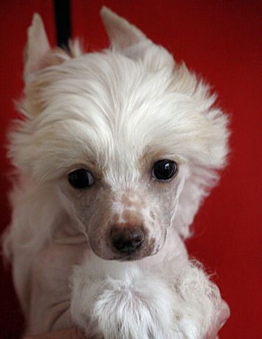 Minnepy's This Is The Key