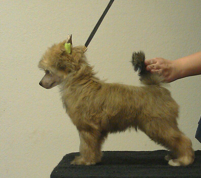 Explicit's Satisfaction Guaranteed