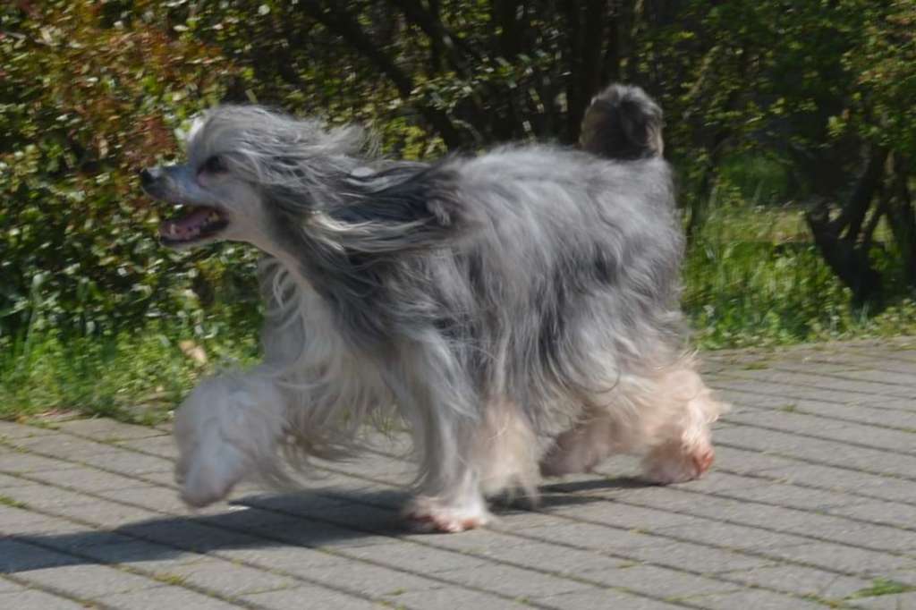 Hanna vom Erfurter Dom