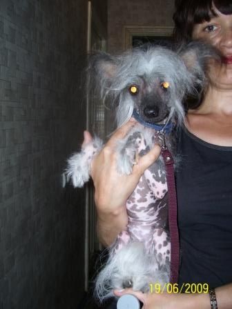 Rus Dof'ma Tsaritsa Nefertiti