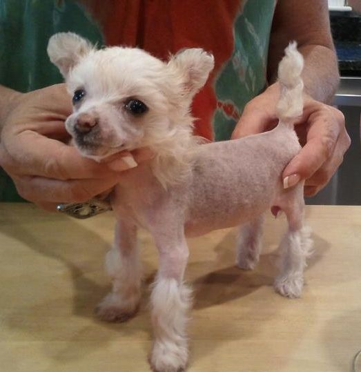 Creekside's Anastasia