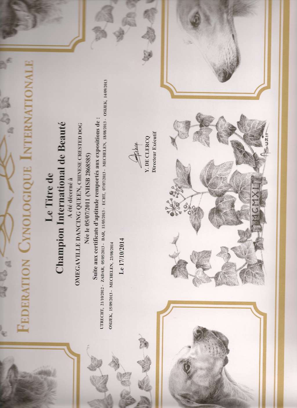 Omegaville Dancing Queen