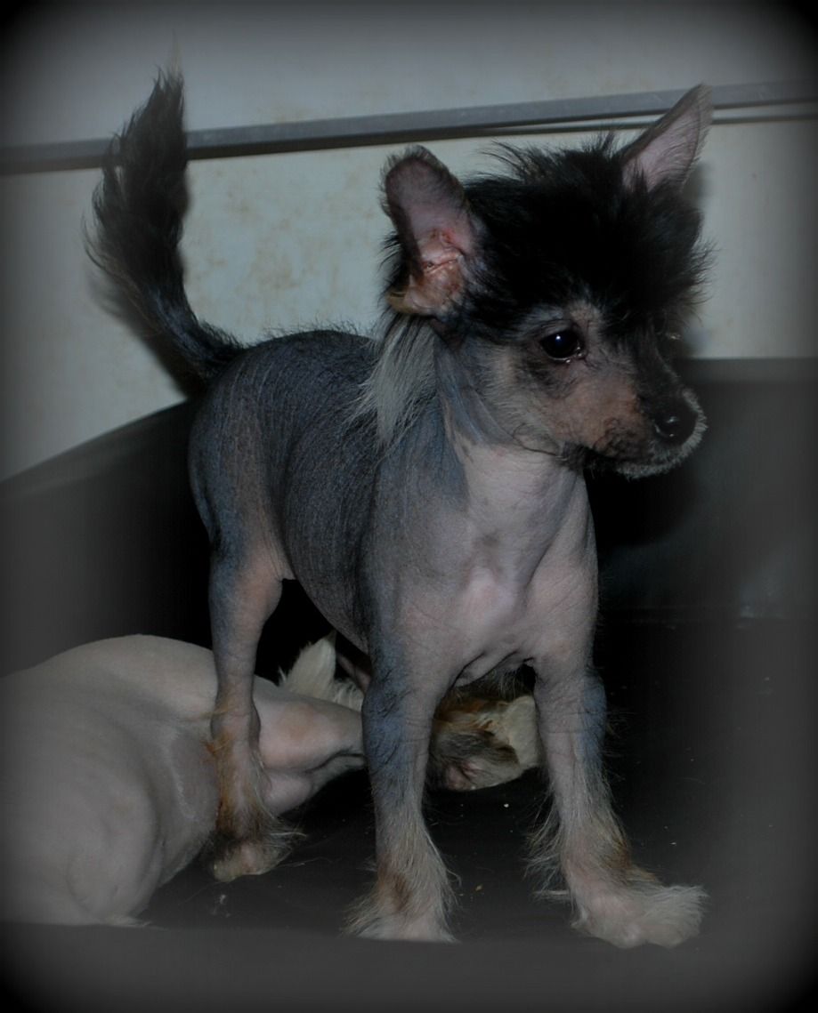 Amyfiled Man in Black