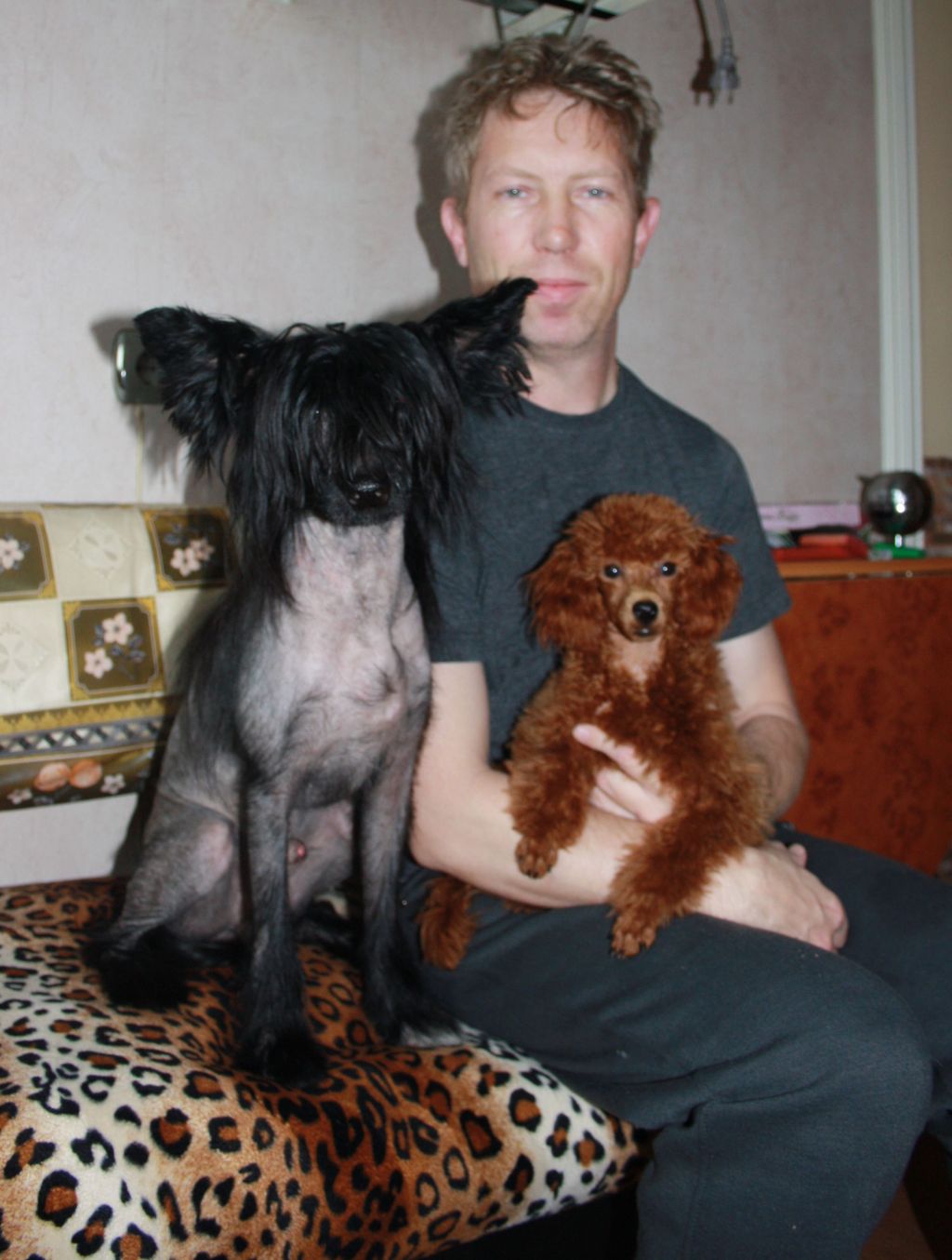 Excalibur Dom Risorto