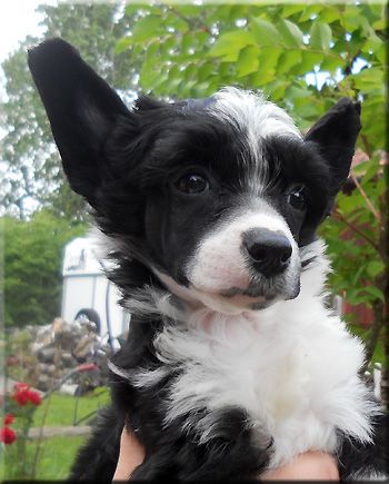 Marachinos One Hot Lady