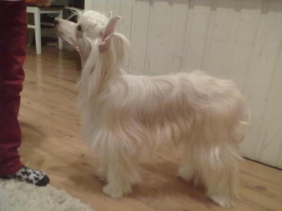 Pinky Twinky One Of The Boys