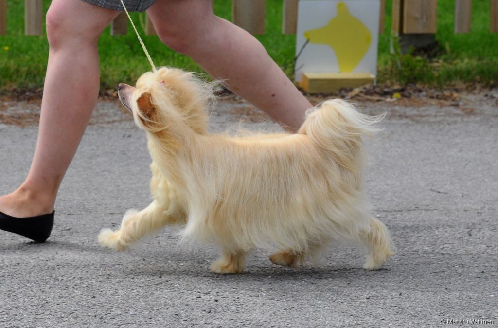 Pinky Twinky I Kissed A Girl