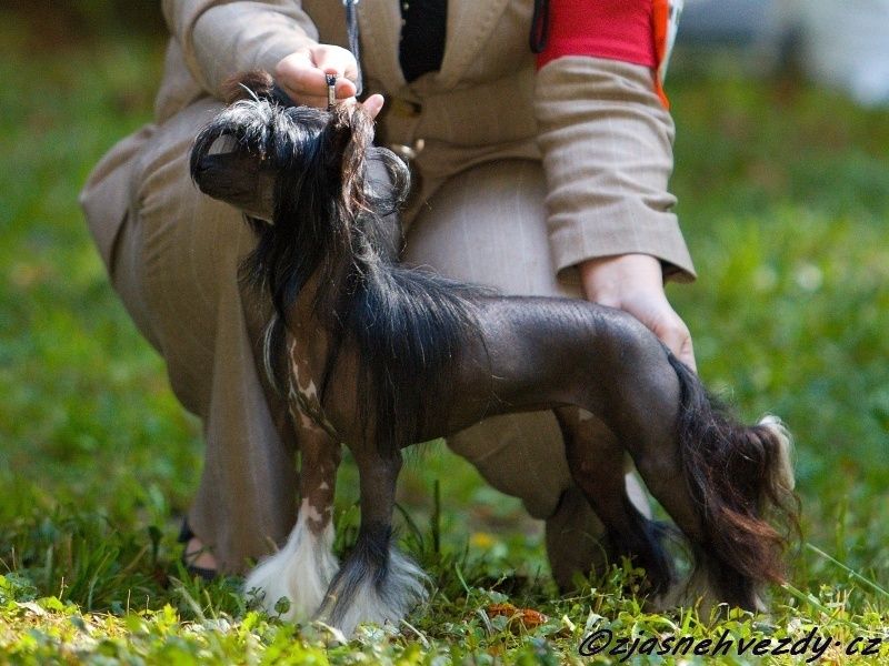 Sharol Shi Shri Lanka