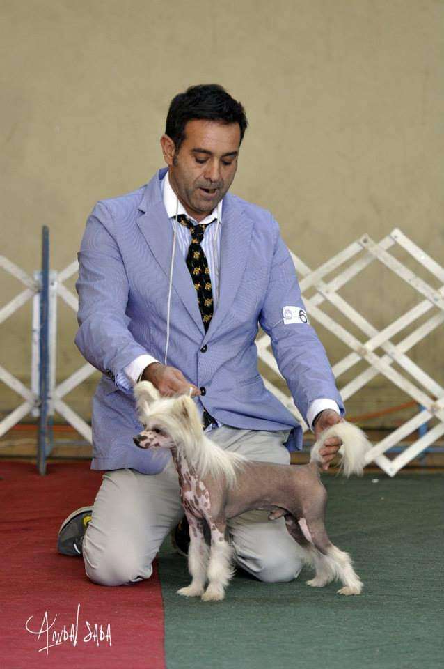 Dimmi il Mio Nome Falazairroo