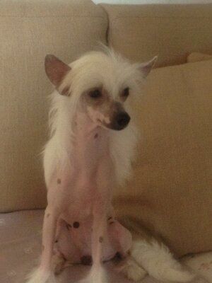 Abenahuara de Tierra de Magec