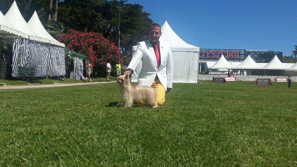 Adargoma de Tierra de Magec