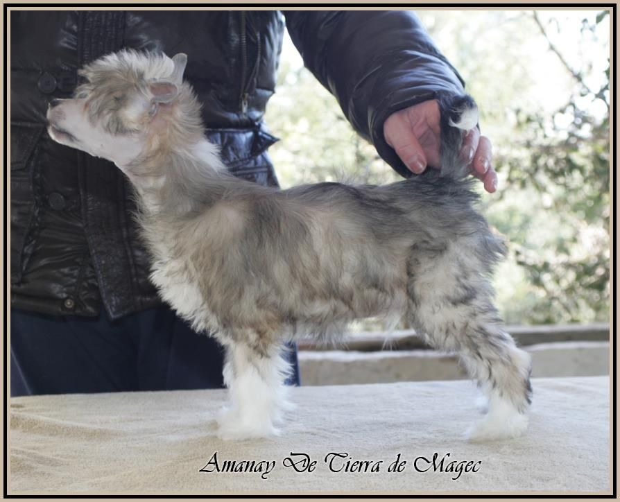 Amanay de Tierra de Magec