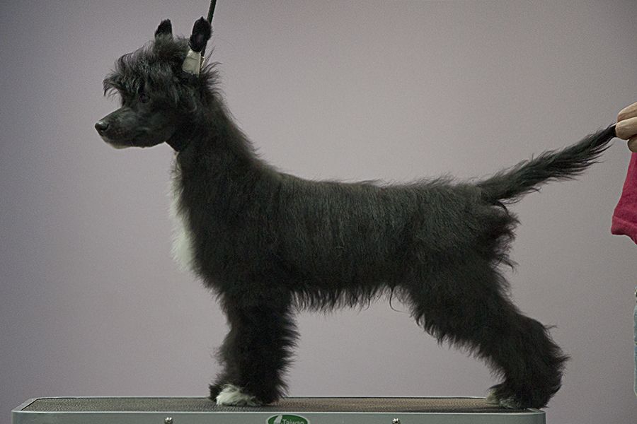 Kranar Wind of Change