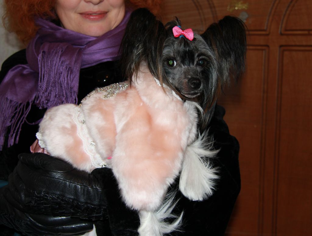 Oks Company Isabella Swan