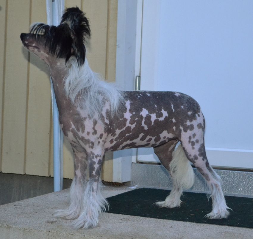 Rovanni Djekattolo Bridget Casey