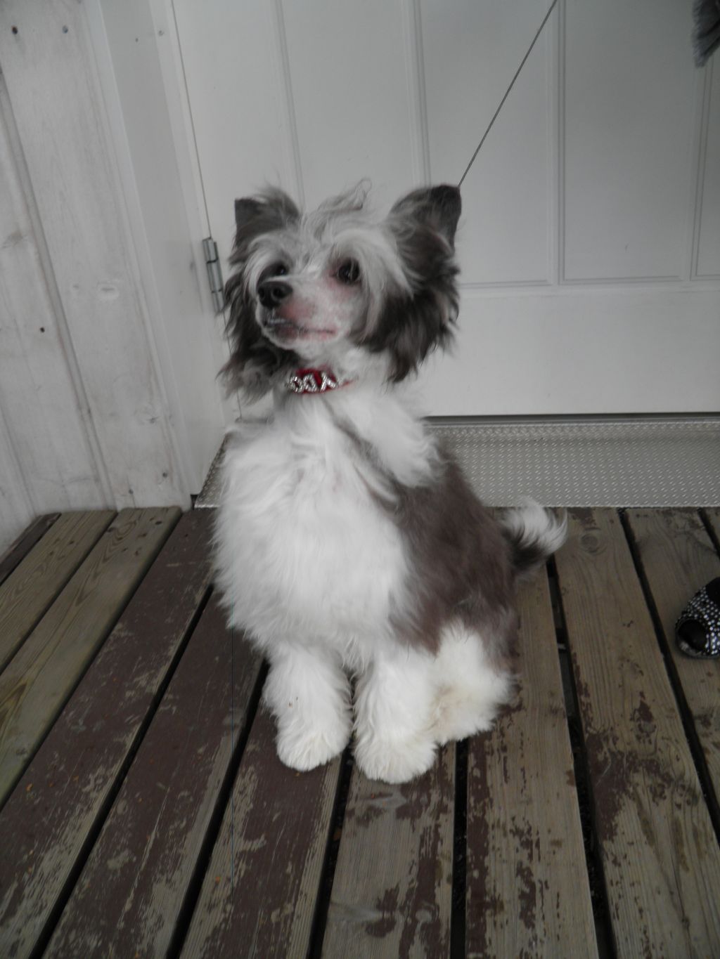 Mooncrystal's Baby Face