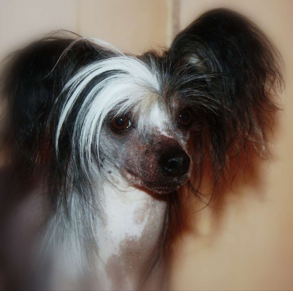 Mooncrystal's Burning Secret