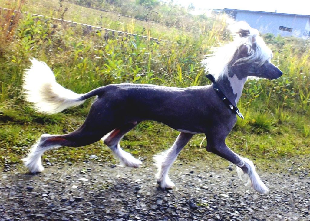 Mooncrystal's Behold Your Dreams