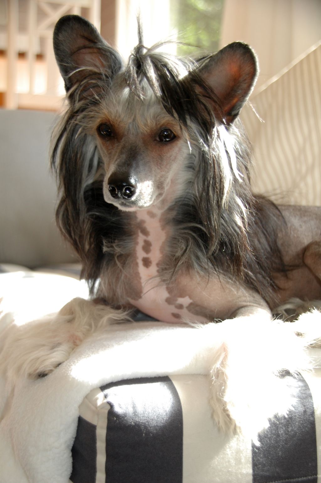 Candy Queen's Name Of The Game