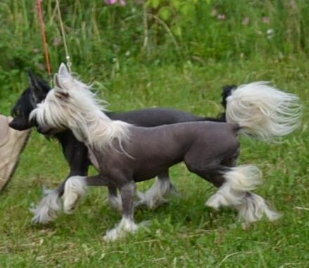 Grace Avery  Gattaca