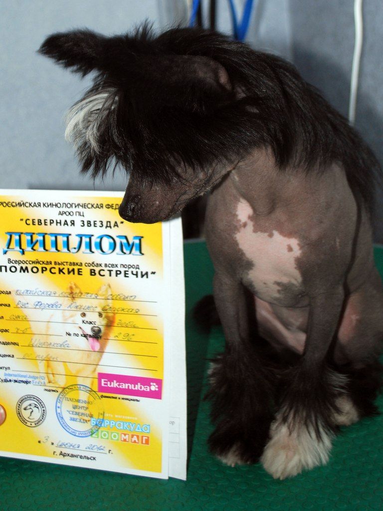 Rus Foreva Dusheska Sladkaya