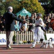 Elizeusz Wera Hossa-Vija