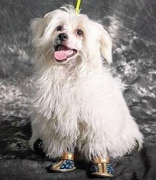 Agnessa Belaya Magiya