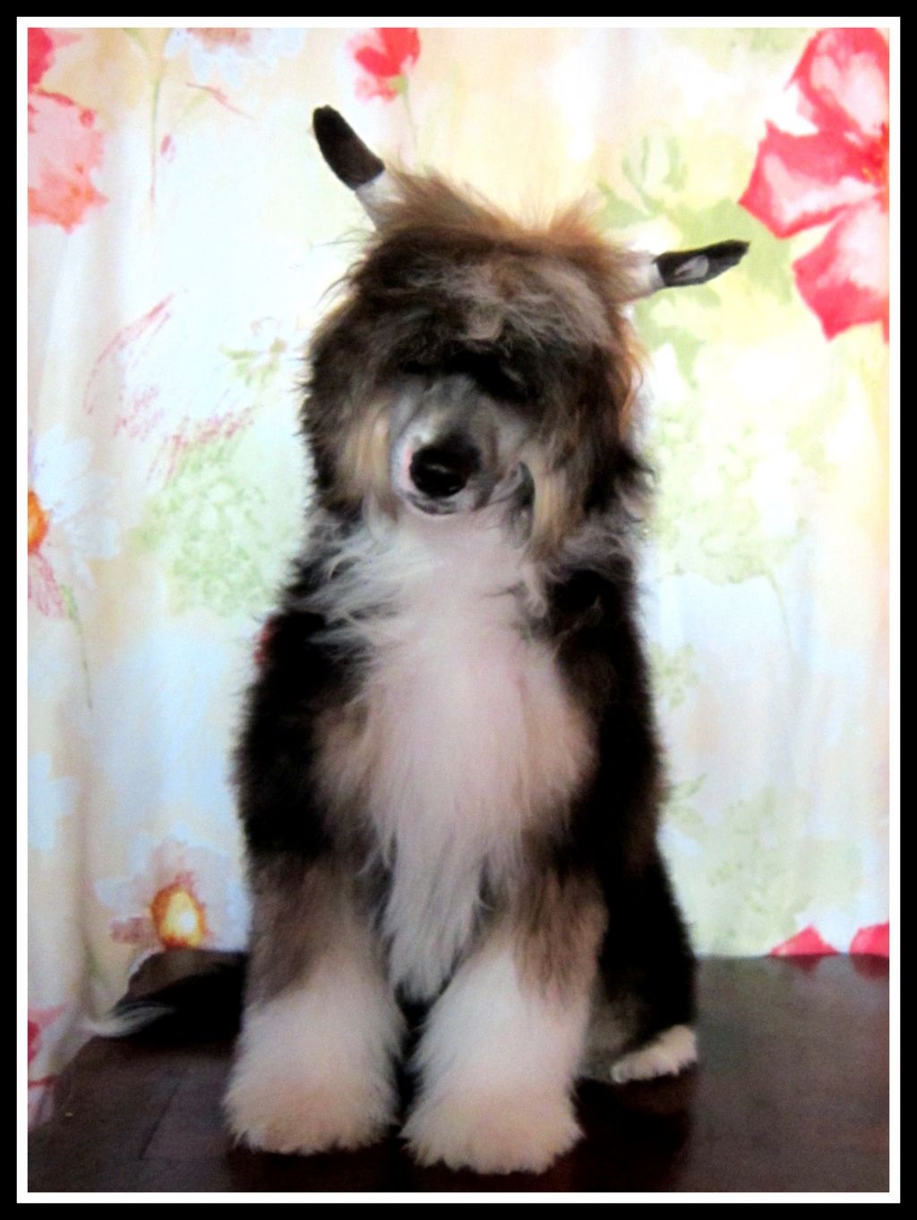 Fu - Lu - Shou Bazyli