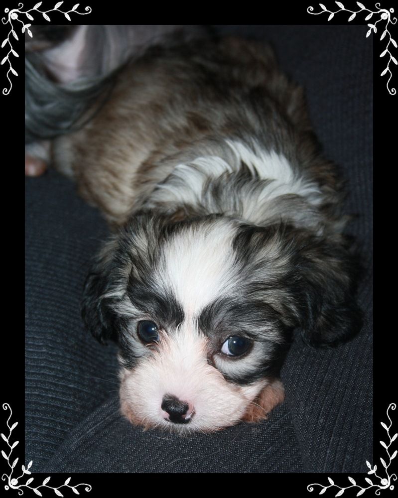 Frenja Feeling Like A Queen 