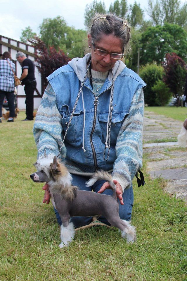 hokyoko du pavé de varennes