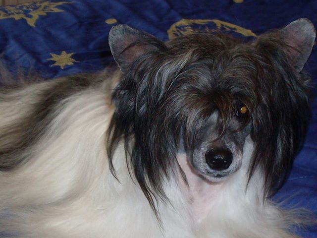 hip-hop du pavé de varennes