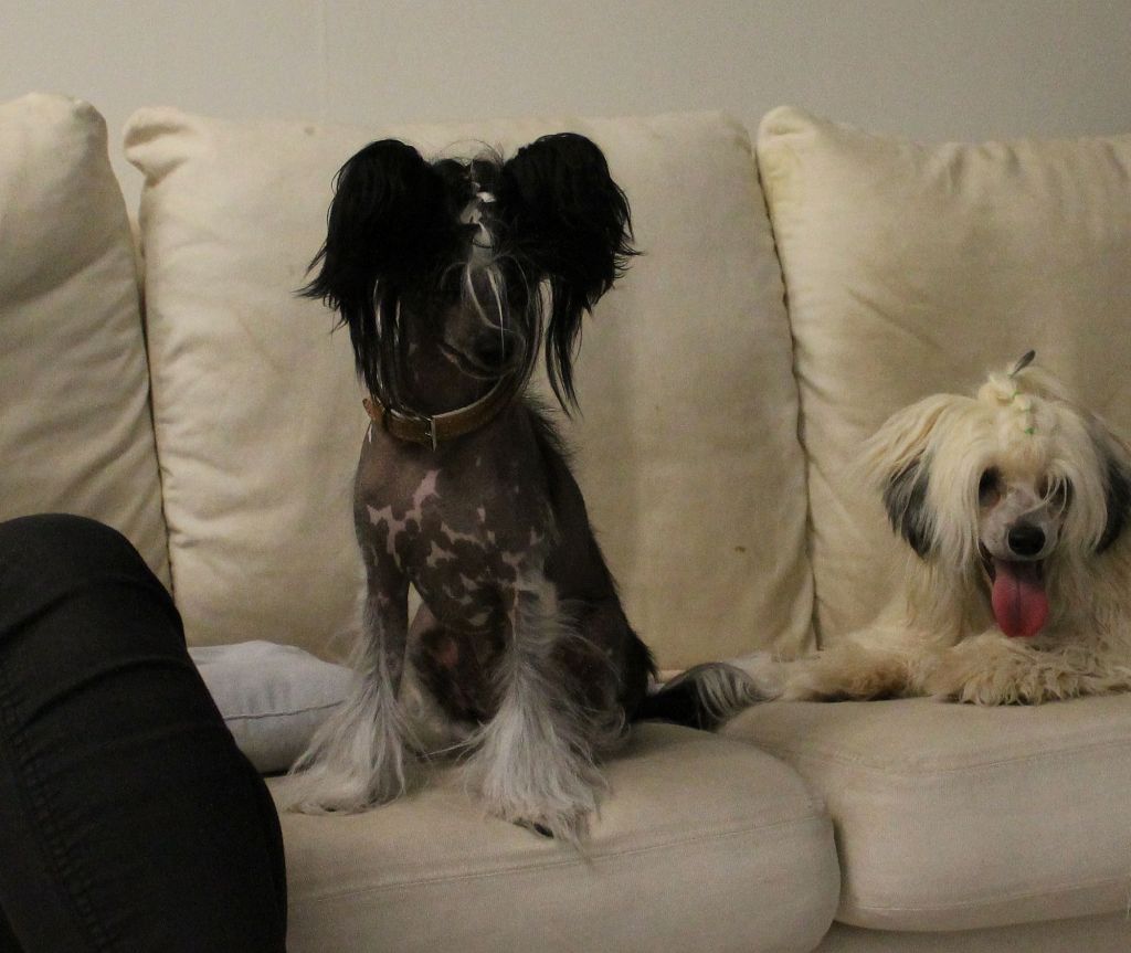 Naked Stars Demon In My Veins