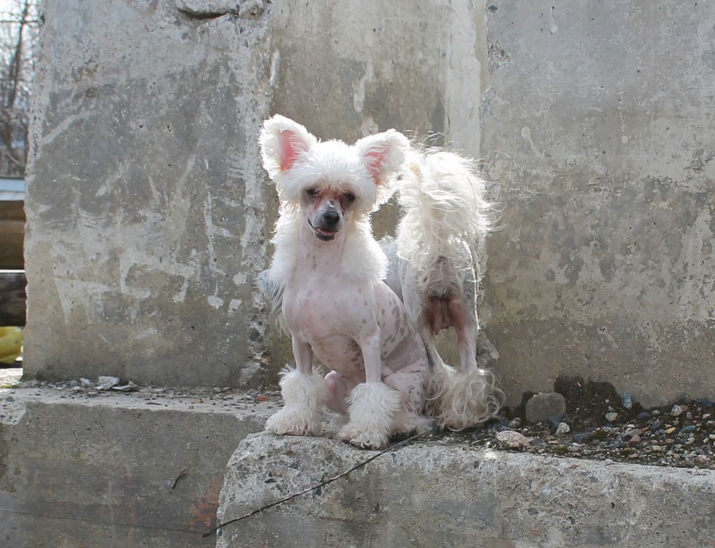 Naked Stars Whisper Of Eternity
