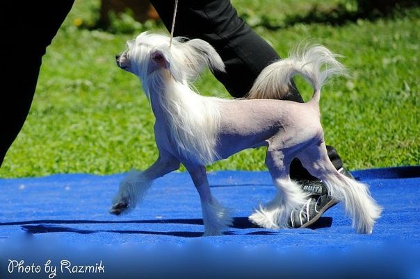 Imperatrica Stranu Grez