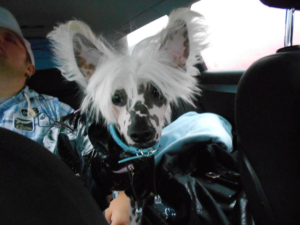 Everything For You Little Sweetie