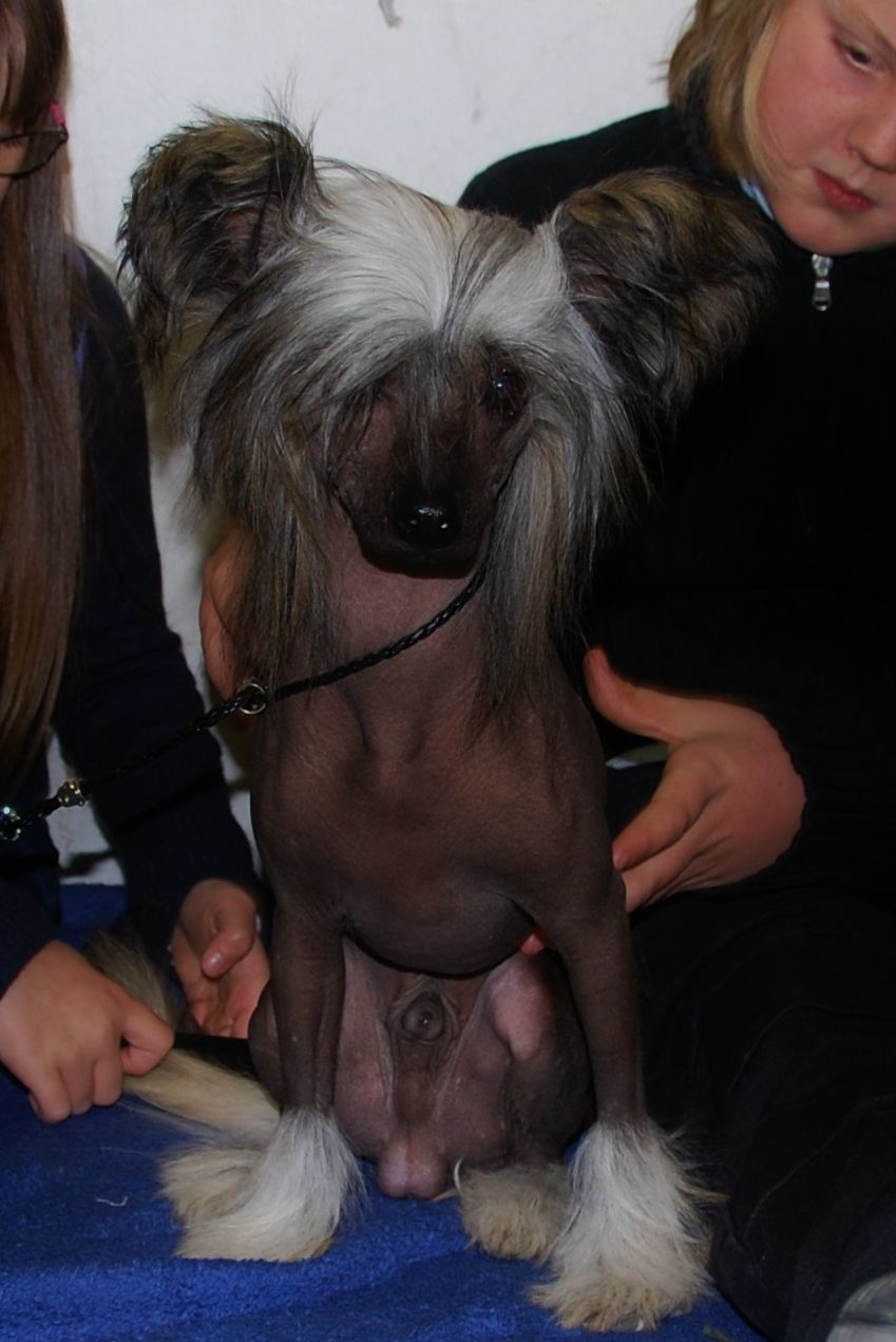 Chakrat's Cool By Nature